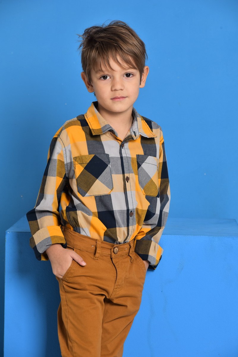 Book