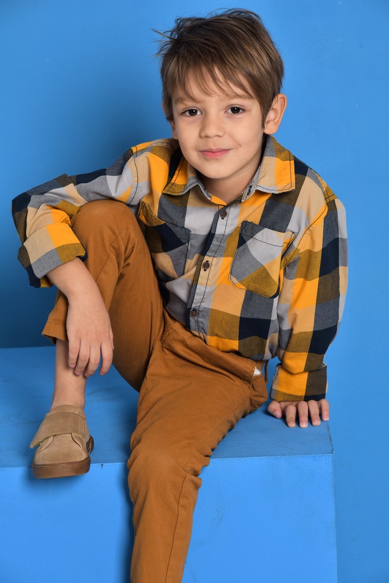 Book