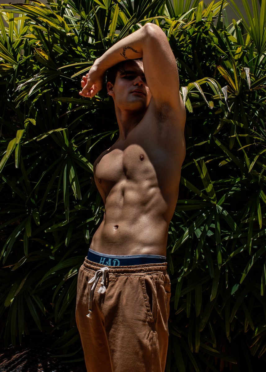 Book